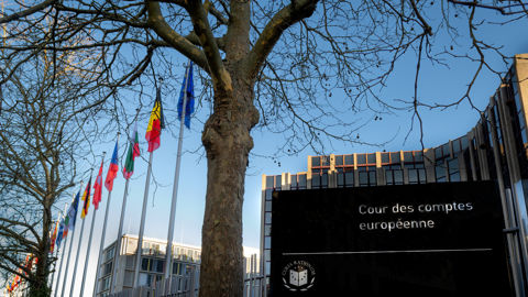 Entre flexibilité promise et incertitudes budgétaires, la réforme de la Pa pourrait fragmenter le marché unique et compliquer la traçabilité des aides aux agriculteurs.